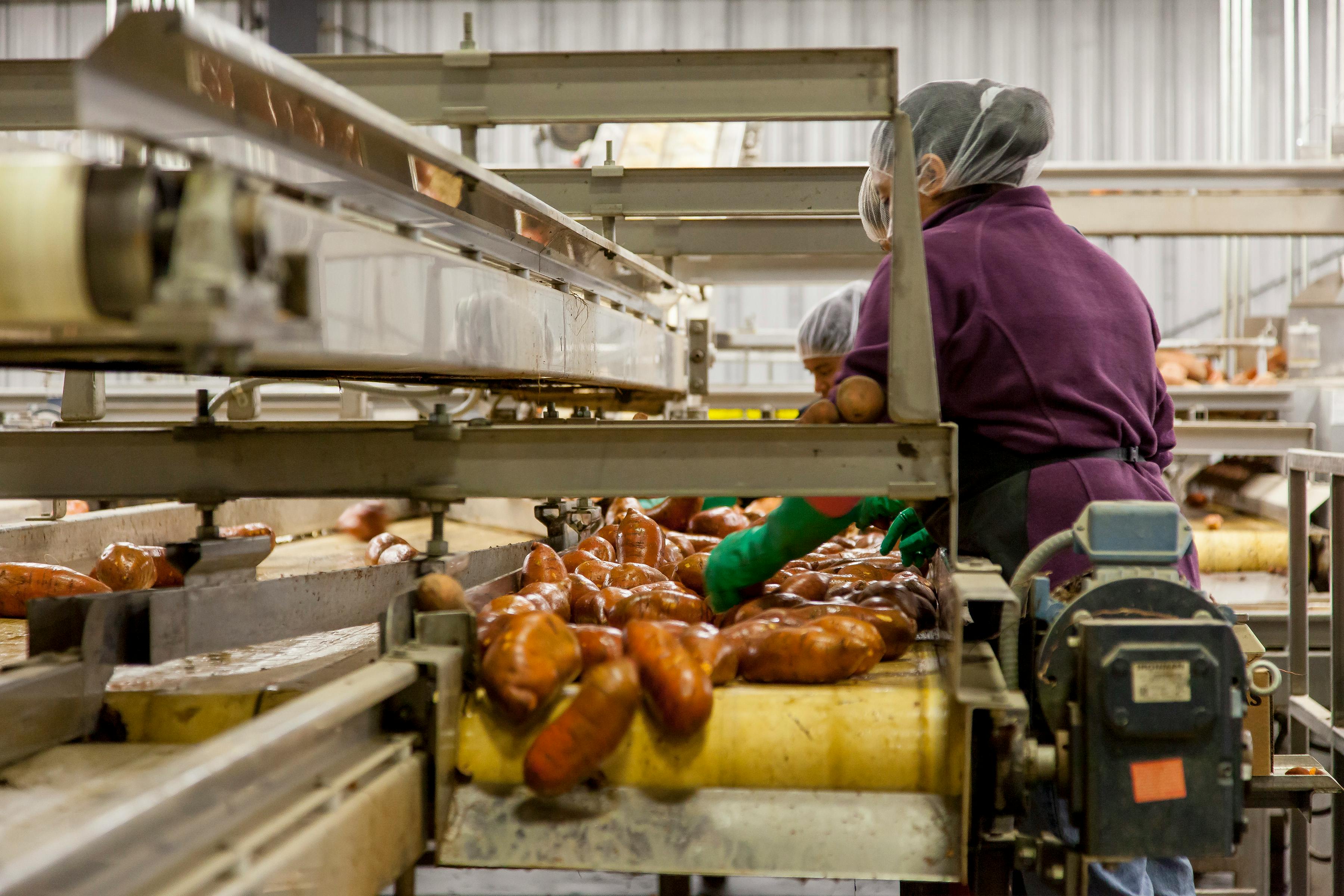 Manufacturing production line